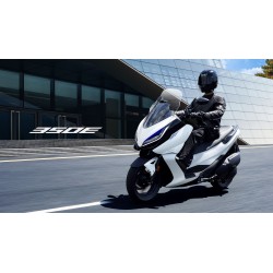 Zontes 350 E