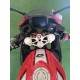 QJ MOTOR SRK 125 R